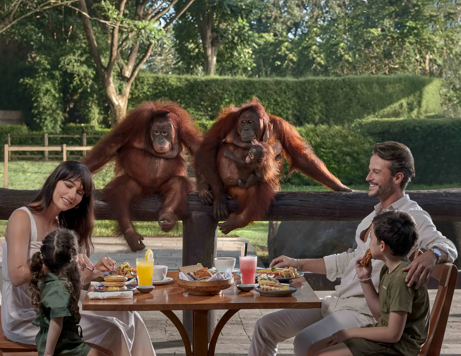 Breakfast with Orangutans & Luxury Relaxation at the Day Club